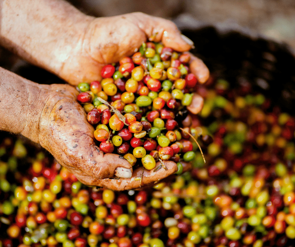 Vegueta old town cobbled street with stone façades and wooden balconies, Santa Ana Cathedral towers in the background, Las Palmas de Gran Canaria.
