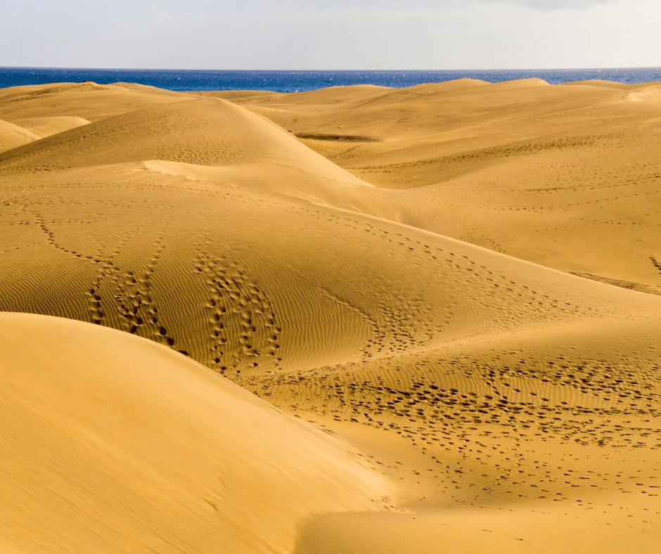 Rolling Maspalomas sand dunes under golden-hour light with the Atlantic horizon beyond, south Gran Canaria.