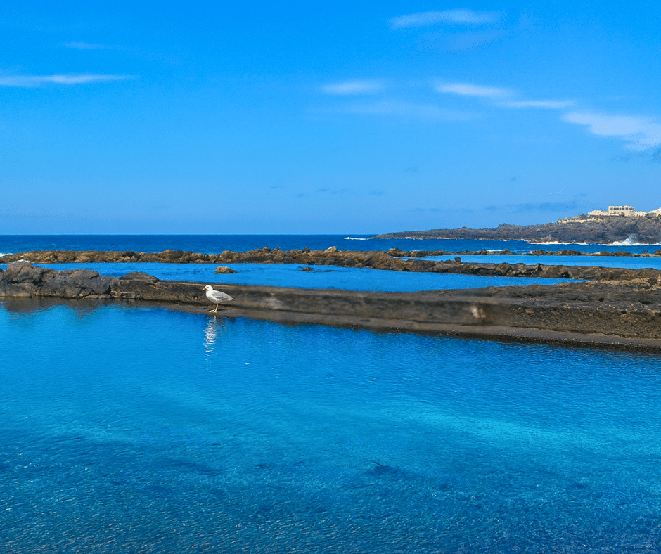 El Puertillo natural pools (Los Charcones) carved in dark volcanic rock, sheltered turquoise basins with Atlantic swell beyond, Bañaderos–Arucas, north Gran Canaria.